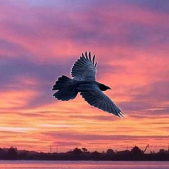 dawnraven